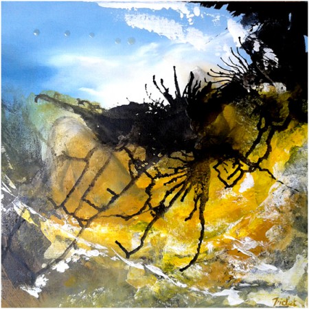 "Le cancer" acrylique (40x40cm) (n° a03) :  160 €